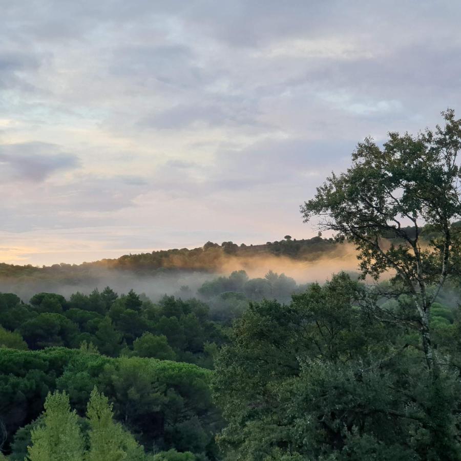 Charmant Studio Proche Lac Et Foret Carcassonne Exterior photo
