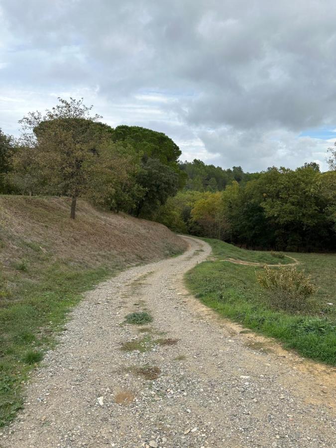 Charmant Studio Proche Lac Et Foret Carcassonne Exterior photo